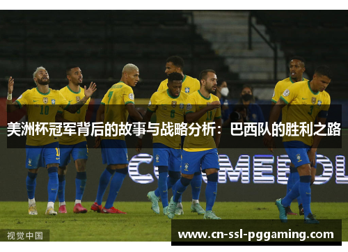 美洲杯冠军背后的故事与战略分析：巴西队的胜利之路