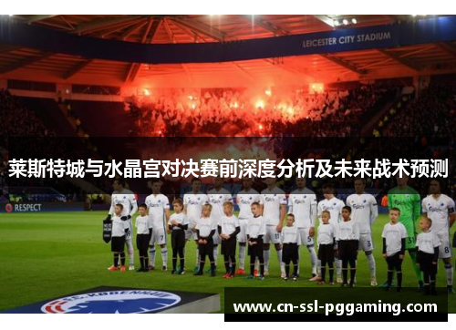莱斯特城与水晶宫对决赛前深度分析及未来战术预测