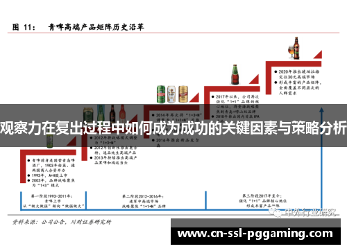 观察力在复出过程中如何成为成功的关键因素与策略分析 观察力在复出过程中如何成为成功的关键因素与策略分析