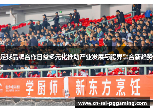 足球品牌合作日益多元化推动产业发展与跨界融合新趋势 足球品牌合作日益多元化推动产业发展与跨界融合新趋势